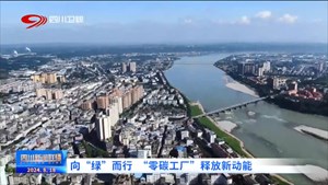 四川新闻联播丨向“绿”而行 “零碳工厂”释放新动能