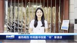 暑热难挡 市民图书馆里“书”享清凉