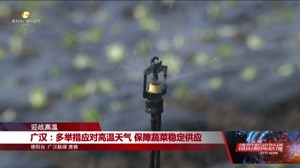 广汉：多举措应对高温天气 保障蔬菜稳定供应