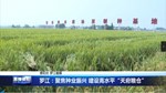 罗江：聚焦种业振兴 建设高水平“天府粮仓”