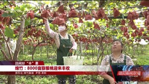 田间好“丰”景：绵竹、什邡