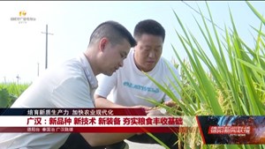 广汉：新品种 新技术 新装备 夯实粮食丰收基础