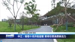 中江：锦巷十月开街迎客 即将引燃消费新活力