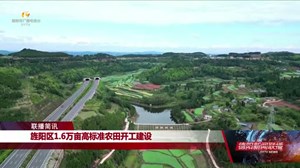 旌阳区1.6万亩高标准农田开工建设