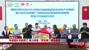 专家团队齐聚罗江 致力培育“罗字号”特色蔬菜