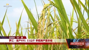 罗江：亩产691.11公斤 旱稻测产喜丰收