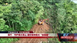 绵竹：守护绿水青山 建好森林防火“应急路”