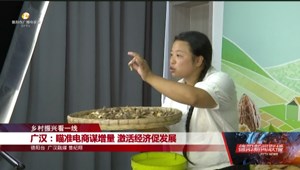 广汉：瞄准电商谋增量 激活经济促发展