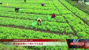 乡村振兴看一线：广汉、绵竹