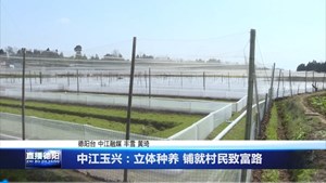 中江玉兴：立体种养 铺就村民致富路