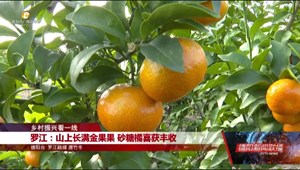 乡村振兴看一线：广汉、罗江