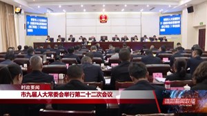 市九届人大常委会举行第二十二次会议 卢也主持