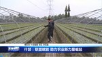 什邡：联盟赋能 助力农业新力量崛起