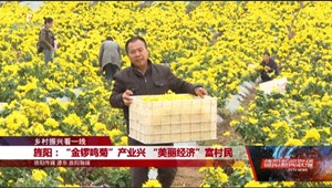 旌阳：“金锣鸣菊”产业兴 “美丽经济”富村民