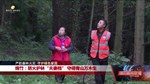 绵竹：防火护林“夫妻档” 守得青山万木生