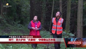 绵竹：防火护林“夫妻档” 守得青山万木生