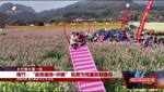 绵竹：“政务服务+供销” 拓宽为民服务新路径