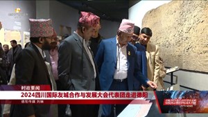 2024四川国际友城合作与发展大会代表团走进德阳