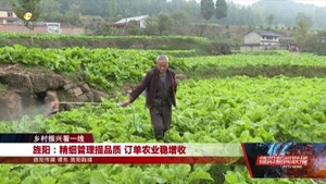 旌阳：精细管理提品质 订单农业稳增收