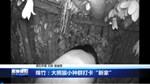 绵竹：大熊猫小种群打卡“新家”