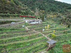 数据要素 “奇点”时刻丨数据要素融入泥土 “汗水农业”正在变为“智慧农业”