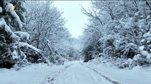 绵竹白云山迎来今冬第一场雪