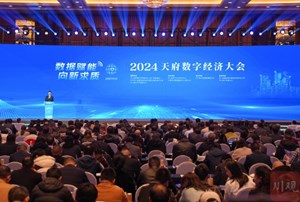 解码2024天府数字经济大会 数据算法算力“缺一不可”