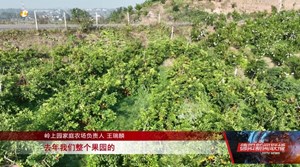 乡村振兴看一线：罗江、广汉