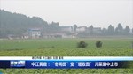 中江黄鹿：“冬闲田”变“增收田” 儿菜集中上市