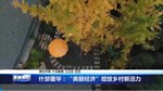 什邡蓥华：“美丽经济”绽放乡村新活力 