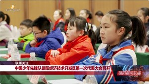 中国少年先锋队德阳经济技术开发区第一次代表大会召开