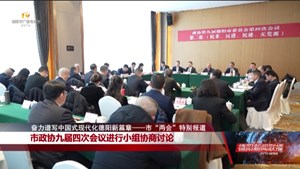 市政协九届四次会议进行小组协商讨论