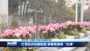 灯笼花卉扮靓街道 新春氛围感“拉满”