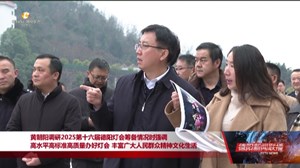 高水平高标准高质量办好灯会 丰富广大人民群众精神文化生活