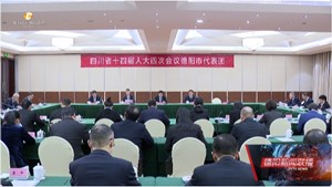 省十四届人大四次会议德阳代表团举行第八次全体会议