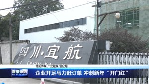 企业开足马力赶订单 冲刺新年“开门红”