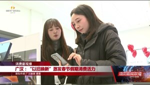 广汉：“以旧换新”激发春节假期消费活力