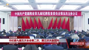 市纪委九届五次全会第二次、第三次大会召开