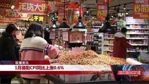 1月德阳CPI同比上涨0.6%