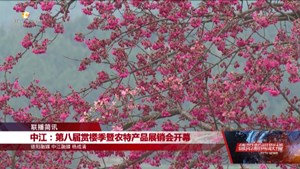 中江：第八届赏樱季暨农特产品展销会开幕