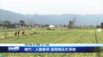 绵竹：人勤春早 田间地头忙采收