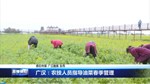 广汉农技人员指导油菜春季管理