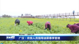 广汉农技人员指导油菜春季管理