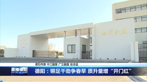 德阳：铆足干劲争春早 质升量增“开门红”