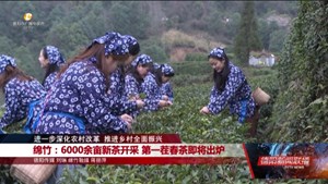 进一步深化农村改革 推进乡村全面振兴：绵竹、广汉