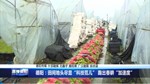 德阳：田间地头尽显“科技范儿” 跑出春耕“加速度”