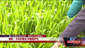 德阳：不负好春光 种植管护忙