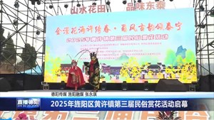 2025年旌阳区黄许镇第三届民俗赏花活动启幕