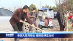 春回大地万物生 植树添绿正当时