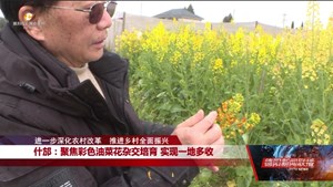 进一步深化农村改革 推进乡村全面振兴：什邡、广汉